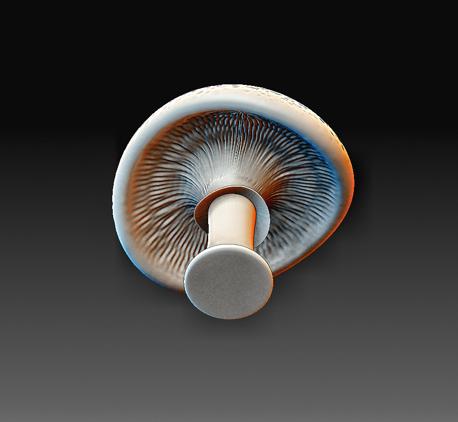 Free STL file Mushroom 🍄・3D printing design to download・Cults